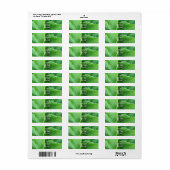 ホスタ葉差出人住所ラベル ラベル (フルシート)