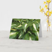 ホスタ葉 カード (黄色い花)