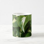 ホスタ葉 コーヒーマグカップ (中央)