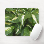 ホスタ葉 マウスパッド (マウス)
