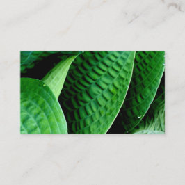 ホスタ葉 名刺