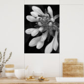 ホスタ開花 ポスター (キッチン)