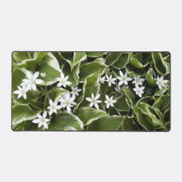 ホスタ離れーズ&ホワイトオルニトガラムフローラ デスクマット