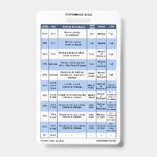 ホスピスナースのPPS / KPSバッジバディ バッジ