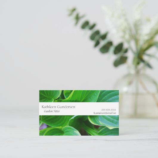 ホス葉タ植物 名刺 (スタンド正面)