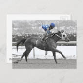 ホセ・レズカノオンモフラッシュ ポストカード (正面/裏面)