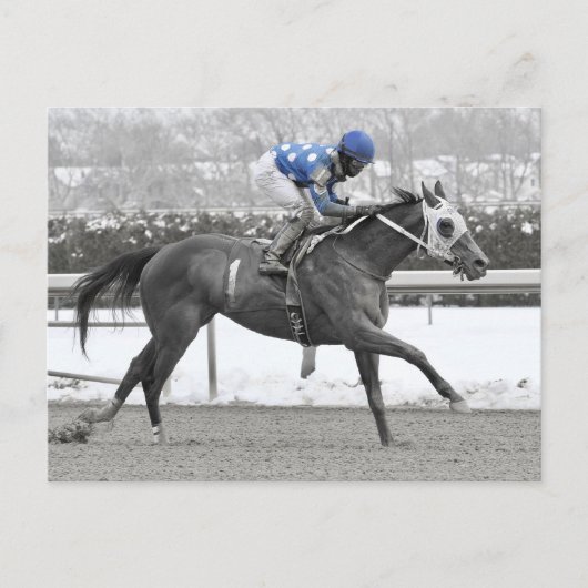 ホセ・レズカノオンモフラッシュ ポストカード (正面)