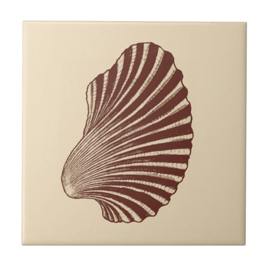 ホタテガイ貝殻ブロックプリント、ブラウンとベージュのセラム タイル (正面)