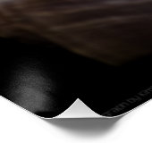 ホタテガイ、ウェルク、海の星 ポスター (コーナー)