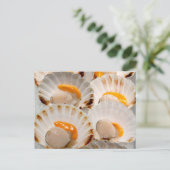 ホタテ地中海の ポストカード (スタンド正面)