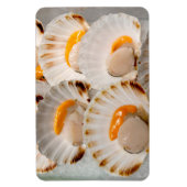 ホタテ地中海の マグネット (縦)