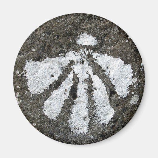 ホタテ貝殻磁石 マグネット (正面)