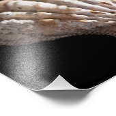 ホタテ貝3236 フォトプリント            (角)