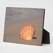 ホタテ貝|ギリシャ，クレタ フォトプラーク (側面)