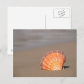 ホタテ貝|ギリシャ，クレタ ポストカード (正面/裏面)