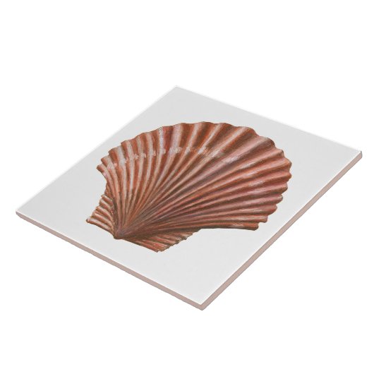 ホタテ貝 タイル (側面)