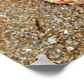 ホタテ貝 ポスター (角)