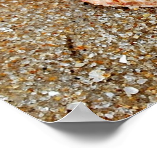 ホタテ貝 ポスター (角)