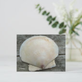 ホタテ貝 ポストカード (スタンド正面)