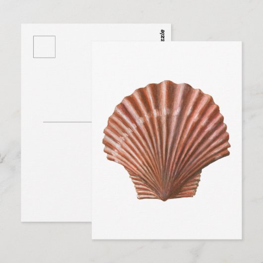 ホタテ貝 ポストカード (正面/裏面)