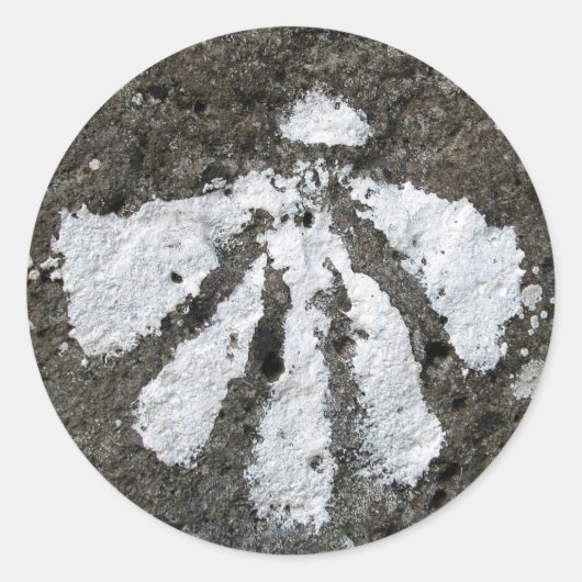 ホタテ貝 ラウンドシール (正面)