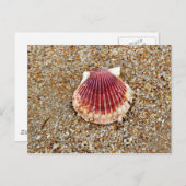 ホタテ貝 – 葉書 ポストカード (正面/裏面)