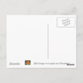 ホタテ貝 – 葉書 ポストカード (裏面)