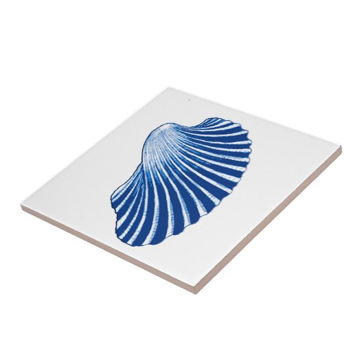 ホタテ貝、藍青、白 タイル (側面)