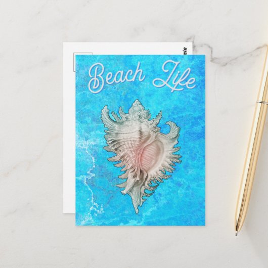 ホタテ貝 "Beach Life" ポストカード (正面/裏面インサイチュ)