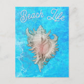 ホタテ貝 "Beach Life" ポストカード (正面)