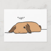 ホタテ ポストカード (正面)