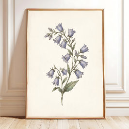 ホタルのような形の花が咲くボタニカルイラストのカンパニュラの壁掛けアート ポスター