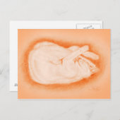 ホタルのように暖かい ポストカード (正面/裏面)