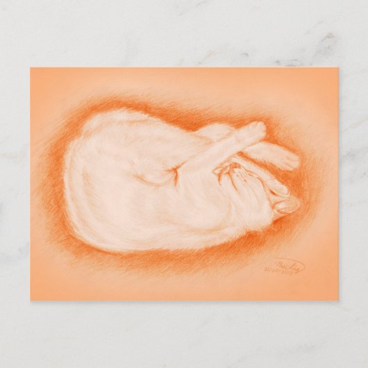 ホタルのように暖かい ポストカード (正面)