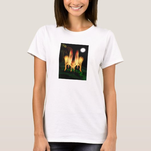 ホタルの光 Tシャツ (正面)