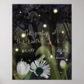 ホタル空 ポスター (正面)