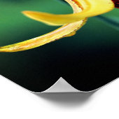 ホタル虫を持つ野生のカナダユリ ポスター (角)