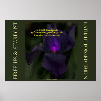 「ホタル&スターダスト」ポートフォリオポスター(16.5 x 11) ポスター