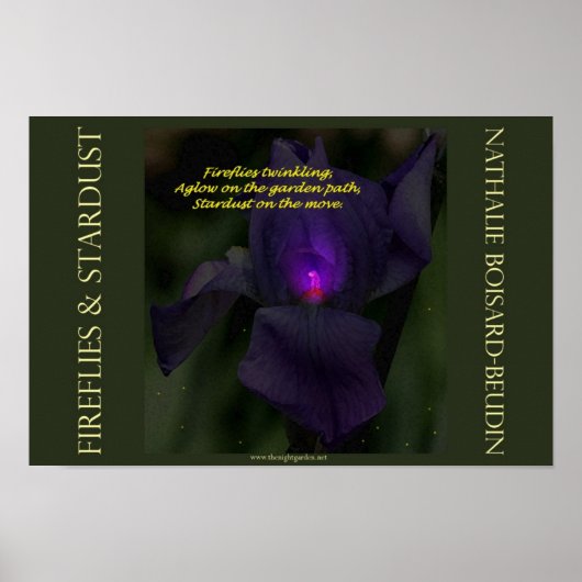 「ホタル&スターダスト」ポートフォリオポスター(16.5 x 11) ポスター (正面)