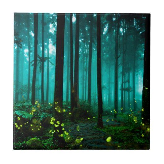 ホタル タイル (正面)