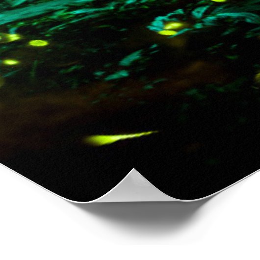 ホタル ポスター (角)