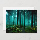 ホタル ポストカード (正面/裏面)