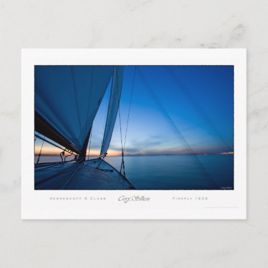 ホタル ポストカード (正面)