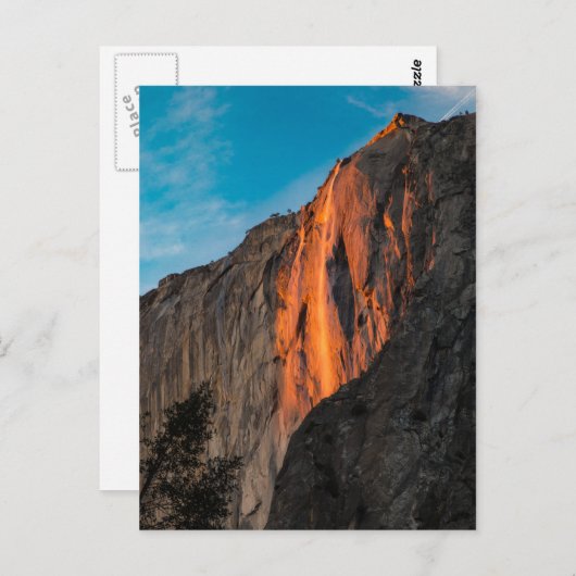 ホタル ポストカード (正面/裏面)