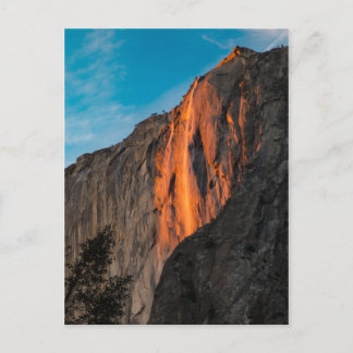 ホタル ポストカード