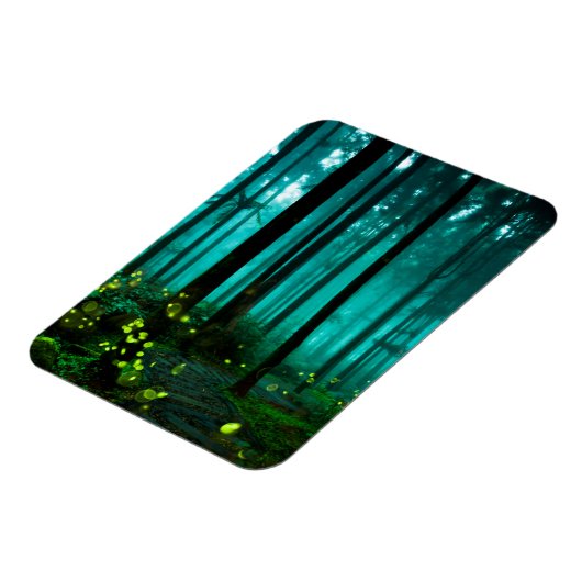 ホタル マグネット (左側)