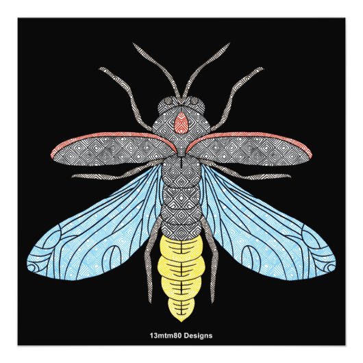 ホタル（黒） – フォトプリント フォトプリント            (正面)