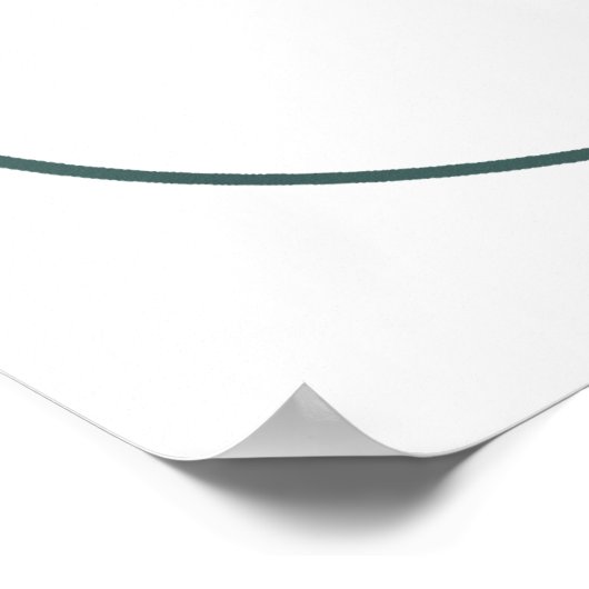 ホダンチキン ポスター (角)