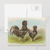 ホダン ポストカード (正面/裏面)