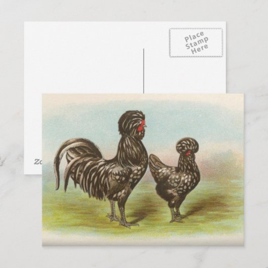 ホダン ポストカード (正面/裏面)